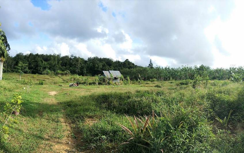 Thalang – 6 Rai Development Land near Tonsai Waterfall – just THB 3.9m per Rai