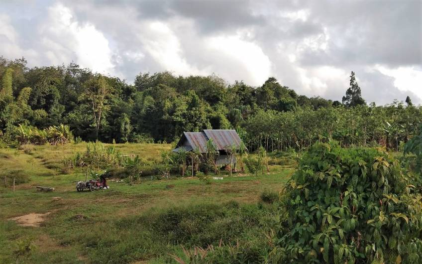 Thalang – 6 Rai Development Land near Tonsai Waterfall – just THB 3.9m per Rai